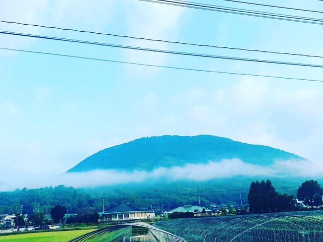 �F�x�̕�ł��B�����B�e_�F�ԋ{