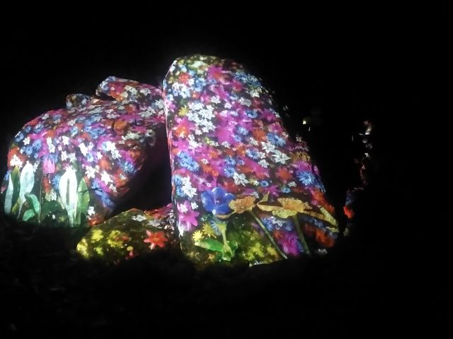 ����͂��ꂢ�ł����B_��R�k