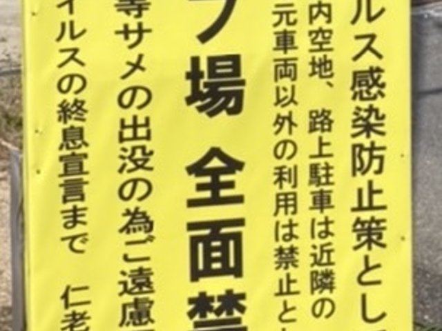 �R���i�I���錾�i�[���R���i�j�܂ŗ��p�֎~�̂悤�ł��B_�m�V�l�C������L�����v��