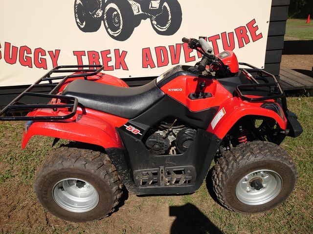 �����߂ł�_�\�g�V�т̐X