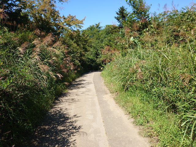 �y���������͉c�Ƃ����ĂȂ��悤�ł�_�\�g�V�т̐X