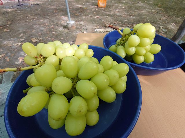 �ł������I_�����_��