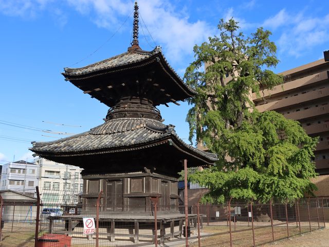 ���݂��Ƒ���_�ՏƎ�����