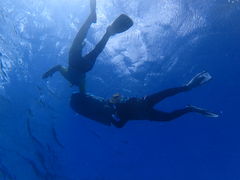 Nature Guide Double Rainbow lC`[KCh@_uC{[ւ̓eʐ^1