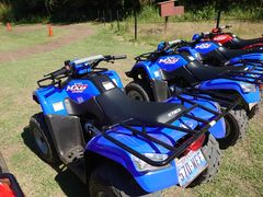 Ȃׂ₳̃\gVт̐Xւ̓eʐ^1