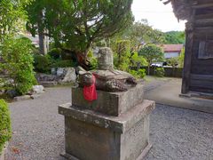 �܂ڂ񂳂�̉������ւ̓��e�ʐ^1