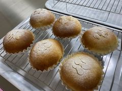 CN^ȄlmÃTAmplitude̎ʐ^1