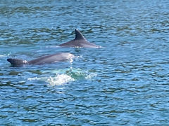 񂳂̊CƃIS[ւ̓eʐ^1