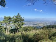 ނ炳񂳂̗RXь̓eʐ^1