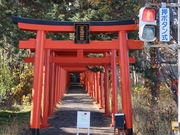 yosshy̎Dyא_Ђ̓eʐ^1