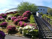 moonticket̓̉w@F̗̓eʐ^1