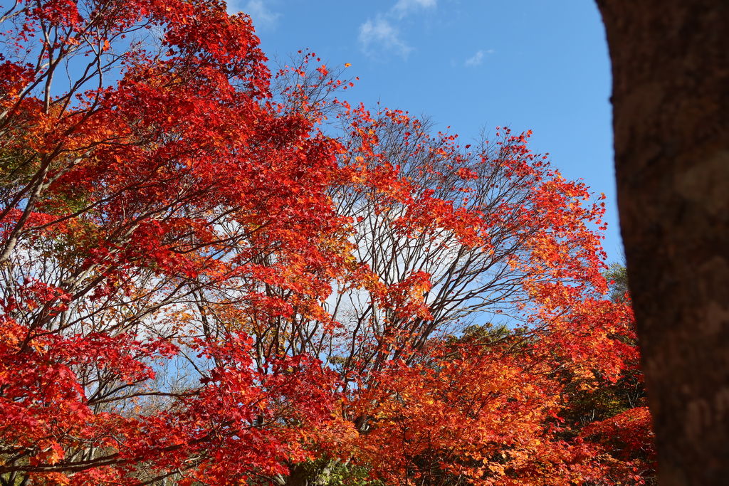 池田 北海道 駅周辺の観光スポットランキングtop10 11ページ目 じゃらんnet