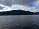 グレチンさんの芦ノ湖（体験観光）の投稿写真1