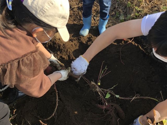 ���܂����{��_�����E�������c�_��