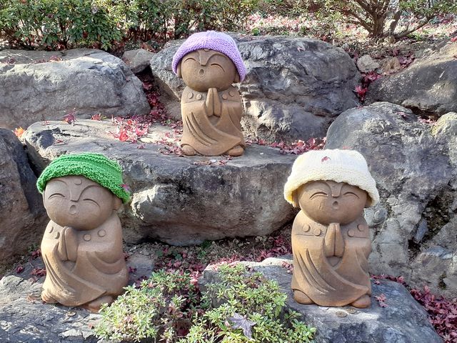 ���킢�炵�����n���l_�󓿎�