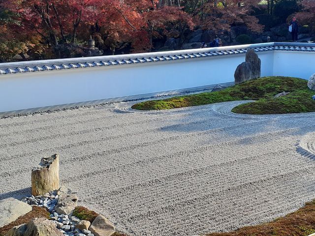 �͎R���̒뉀_�󓿎�