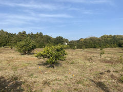 ݂ہ[̂˂肫ւ̓eʐ^1