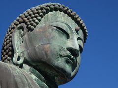 高徳院（鎌倉大仏）の写真一覧 - じゃらんnet