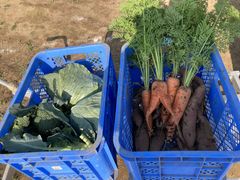 LOVELESŜEc_ւ̓eʐ^1