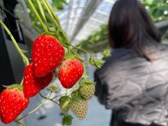 ���΂���񂳂��䕉��������߂���ւ̓��e�ʐ^1