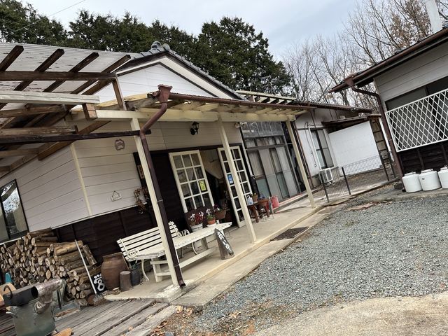 ���X�̓����ʐ^_�L�їq