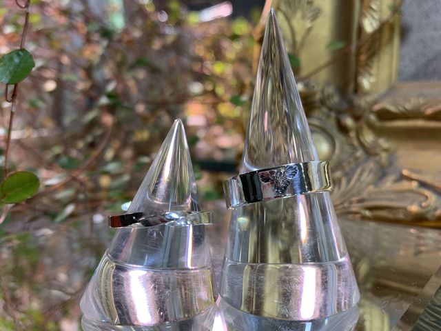 �ʐ^�X�|�b�g���p�ӂ���Ă܂����I_impera accessory