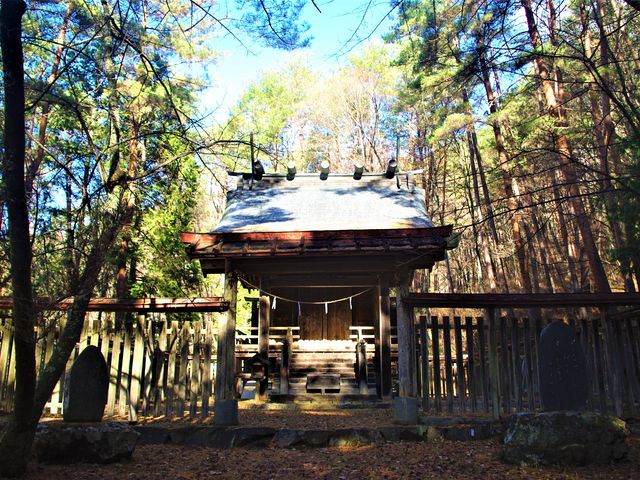 ^{剤̐MZ{_Ђ̓eʐ^1