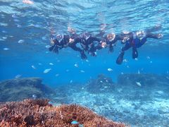 takamarine assist DEMIւ̓eʐ^1