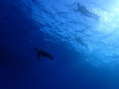 ꂢ̃JCU[}Nuւ̓eʐ^1