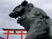 Ƃ񂳂̎R`썑_Ђ̓eʐ^2