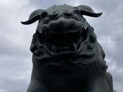 Ƃ񂳂̎R`썑_Ђ̓eʐ^3