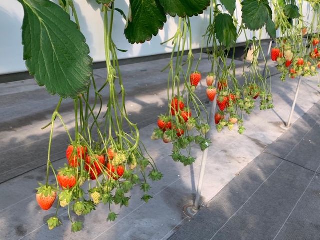 RԂ牺ĂāARƂɂ͖ڈ󂪂܂(^^)_fa