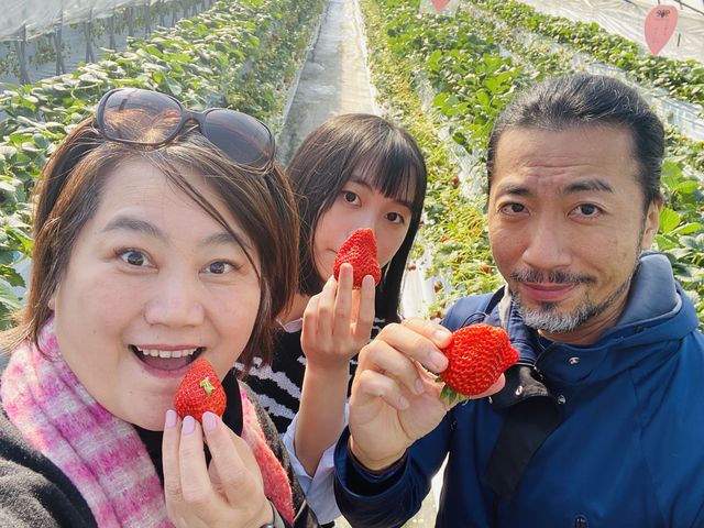 �Ƒ��݂�ȂŊy���߂閞����_�z���e�B�L��