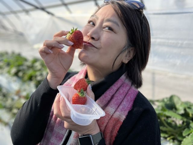 �������Ƃ����y�����ދi_�z���e�B�L��