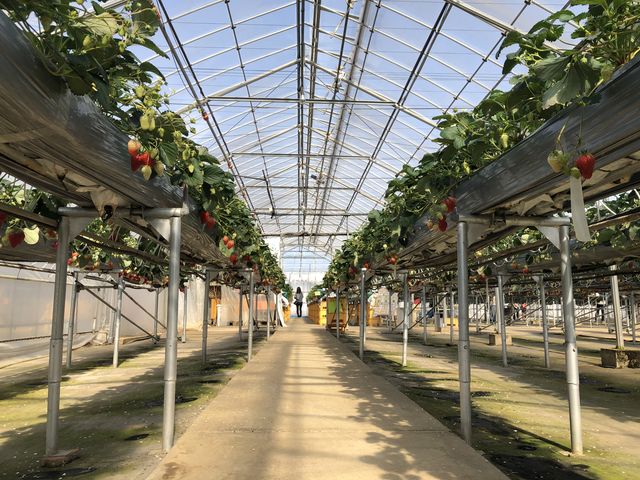 �R���N���[�g�̏��̓x�r�[�J�[�Ƃ��Ԉ֎q�̕����ʂ�܂��I_�K�C���t�@�[��(���c�t�@�[���j