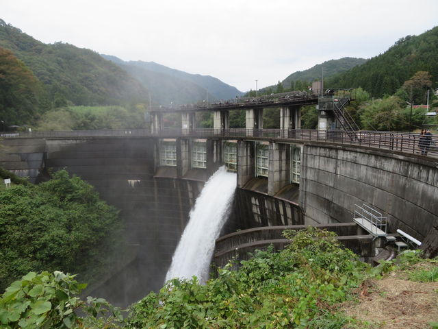 ���V���_���@�䕗�P�X���̑�J�ɂ��e���ŁA���͂̂�������ɂ���ɂ�������_���V���_��