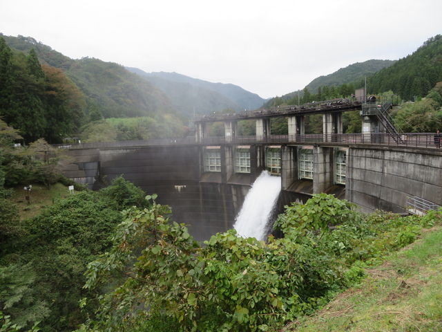 ���V���_���@�䕗�P�X���̑�J�ɂ��e���ŁA���͂̂�������ɂ���ɂ�������_���V���_��