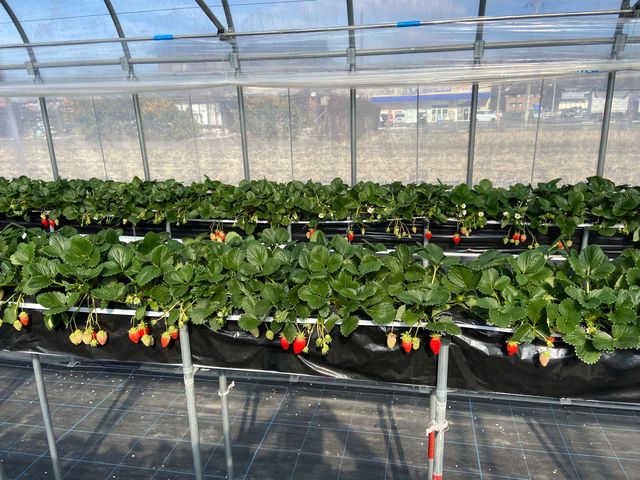 �܂�������Ƒ����̂��ȁH_���[��������