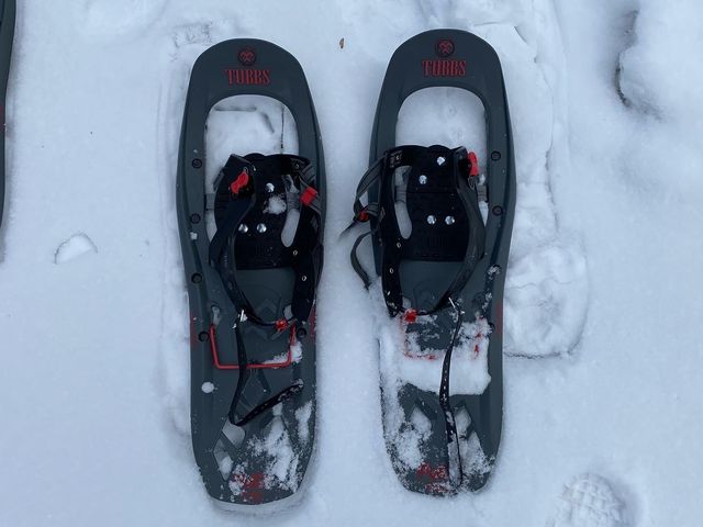 炪Xm[V[B̃Rc苳Ă炦̂ňSB_ʎВc@lks_Řic