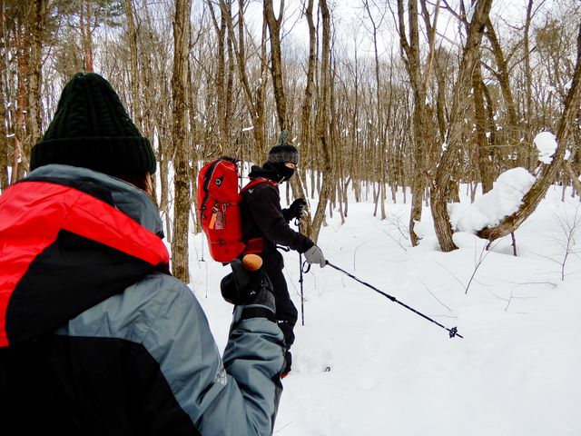 KCh̐킩₷ĕ׋ɂȂ܂B_ʎВc@lks_Řic