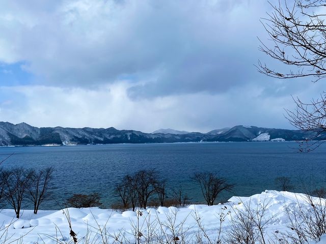 W]䂩̒߁BƓc΂̐F̕ωƌ邩B_ʎВc@lks_Řic