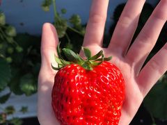 TracỹzeBL˂ւ̓eʐ^4