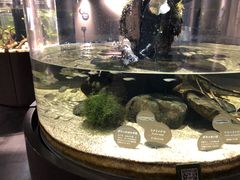 ̃JXC 萅قւ̓eʐ^1