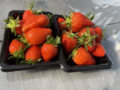 肳joumonfarmi傤ӂ[ށjւ̓eʐ^1