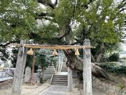 4l̂[񂳂̔_Ђ̓eʐ^1