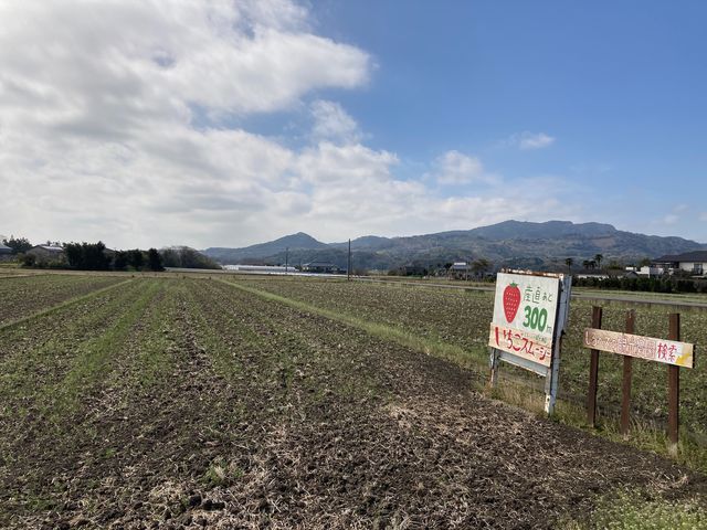 ����ׂ��̊ό��_��_����ׂ��̊ό��_��