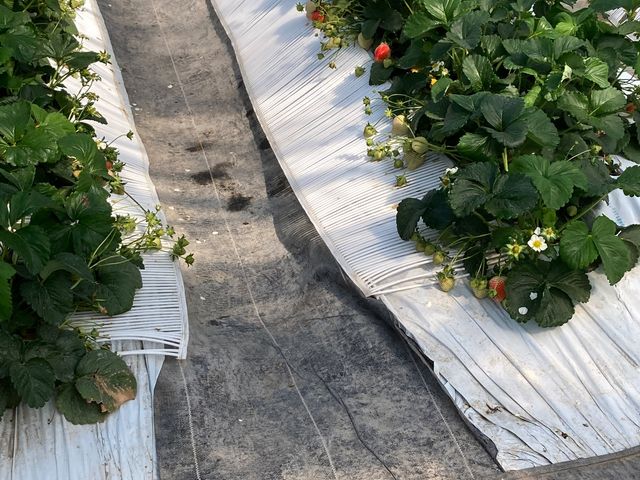 ����ׂ��̊ό��_��_����ׂ��̊ό��_��