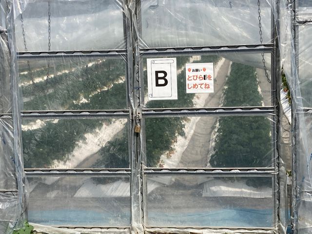 ����ׂ��̊ό��_��_����ׂ��̊ό��_��