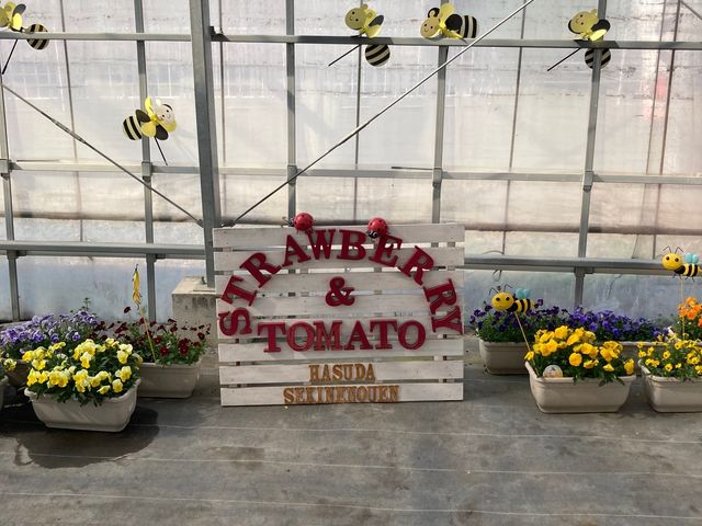 �ʐ^�X�|�b�g_�֍��_��