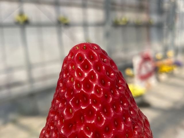 ������_�֍��_��